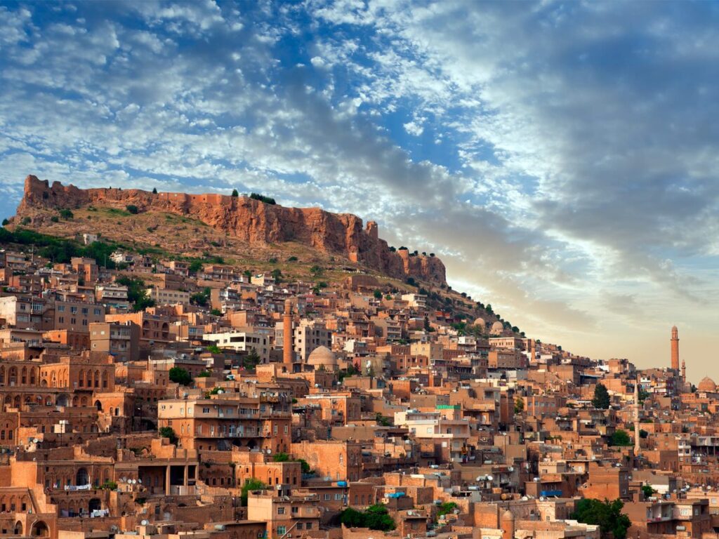 mardin protez saç