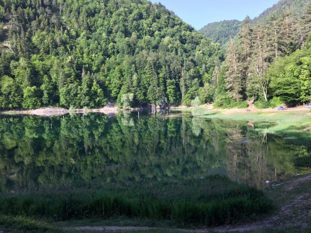 Sakarya Protez Saç